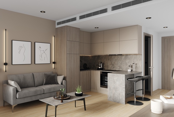 現代簡約風格小宅設計，搭配木質櫃體與灰色沙發，展現機能與美感兼具的開放式空間。