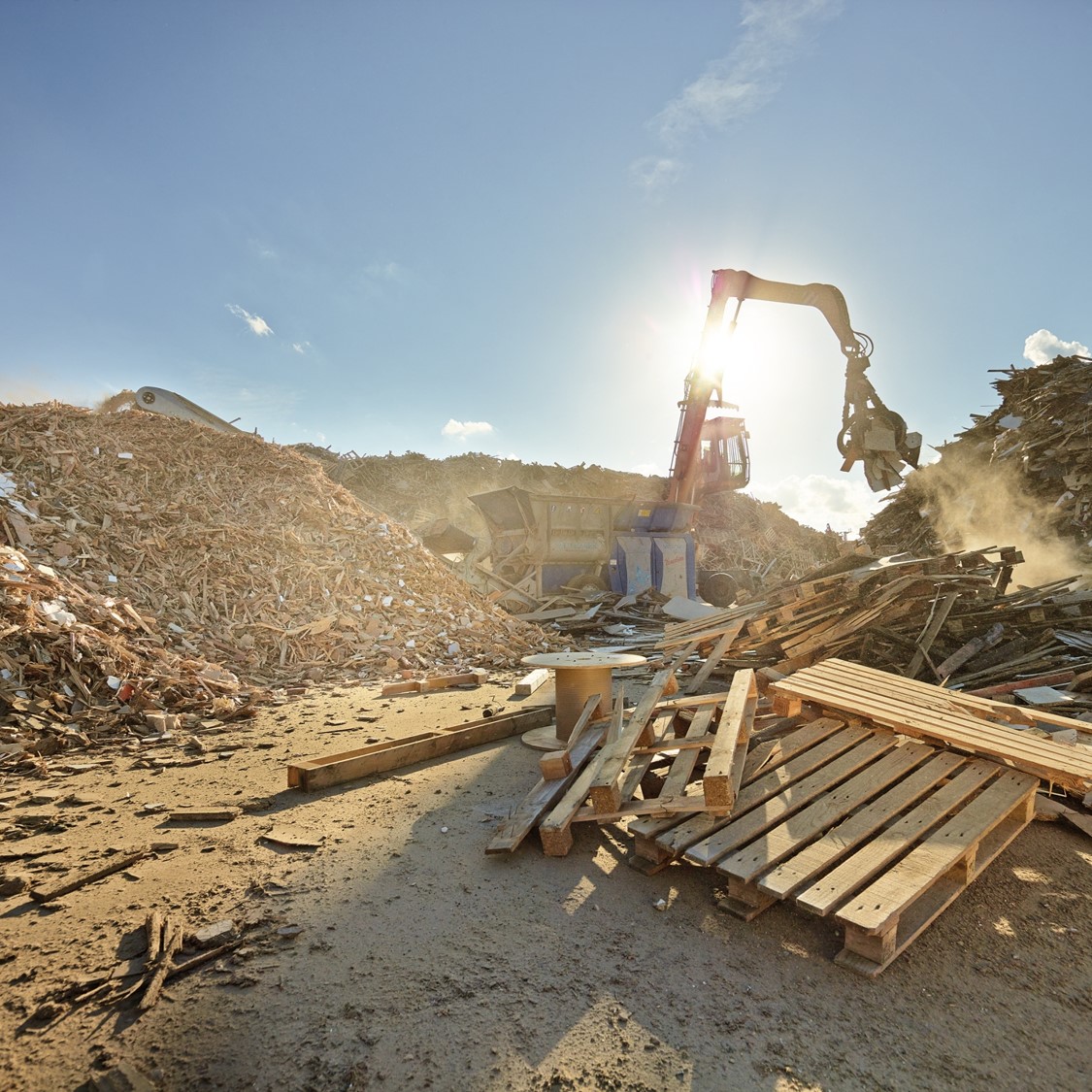 圖為木材回收與分類現場