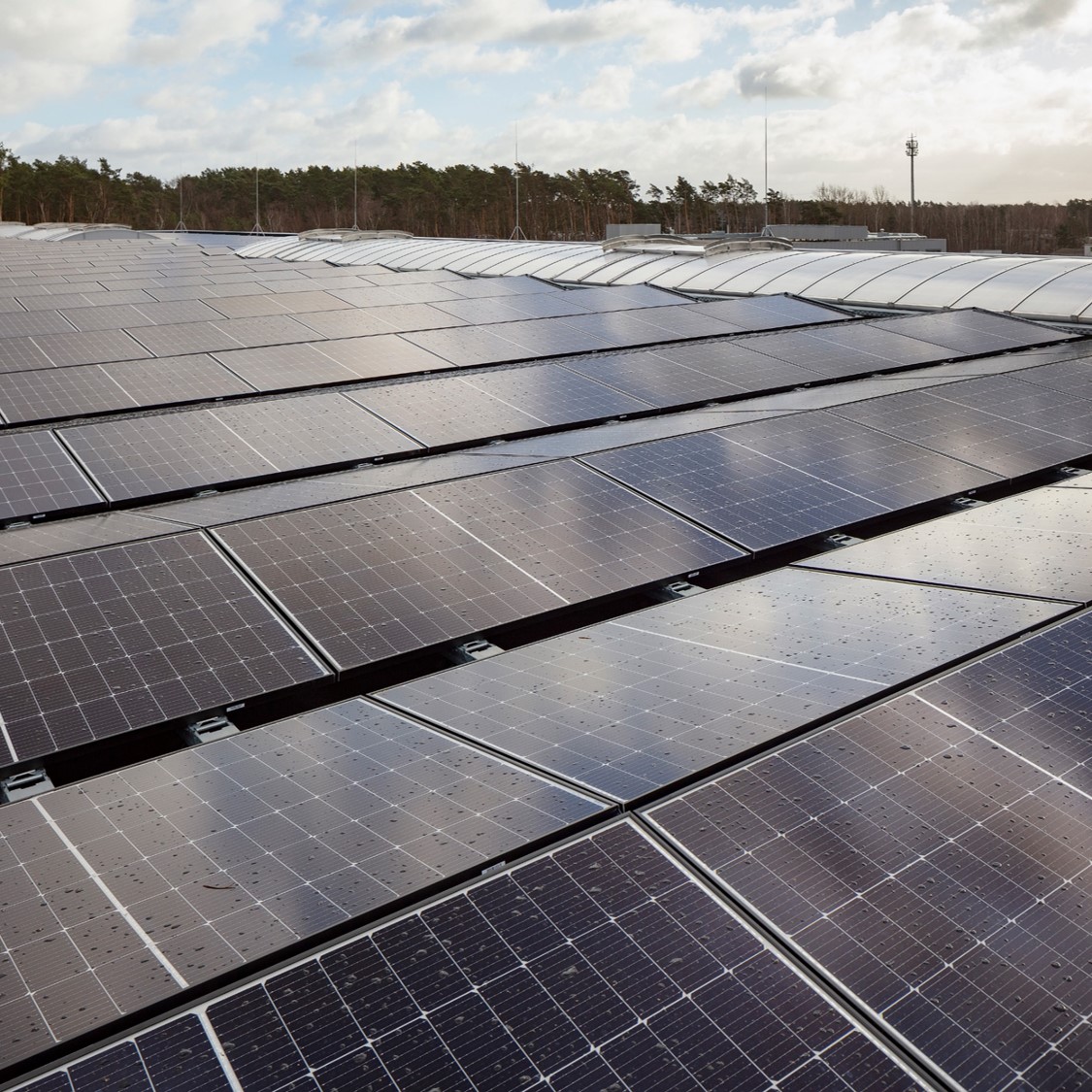 圖為大面積太陽能板陣列，展現 EGGER 對再生能源與節能減碳的實踐。