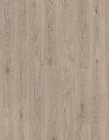 特雷維索灰橡木