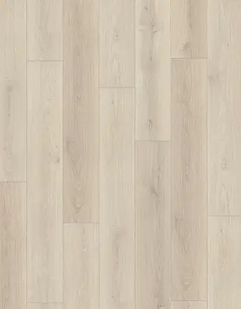 愛爾頓白橡