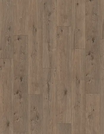 穆羅姆原橡