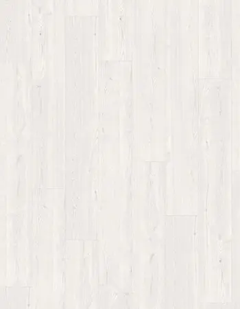 特倫赫姆梣木