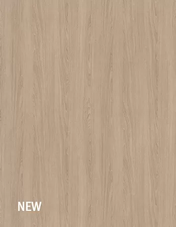 奥爾良沙棕橡木